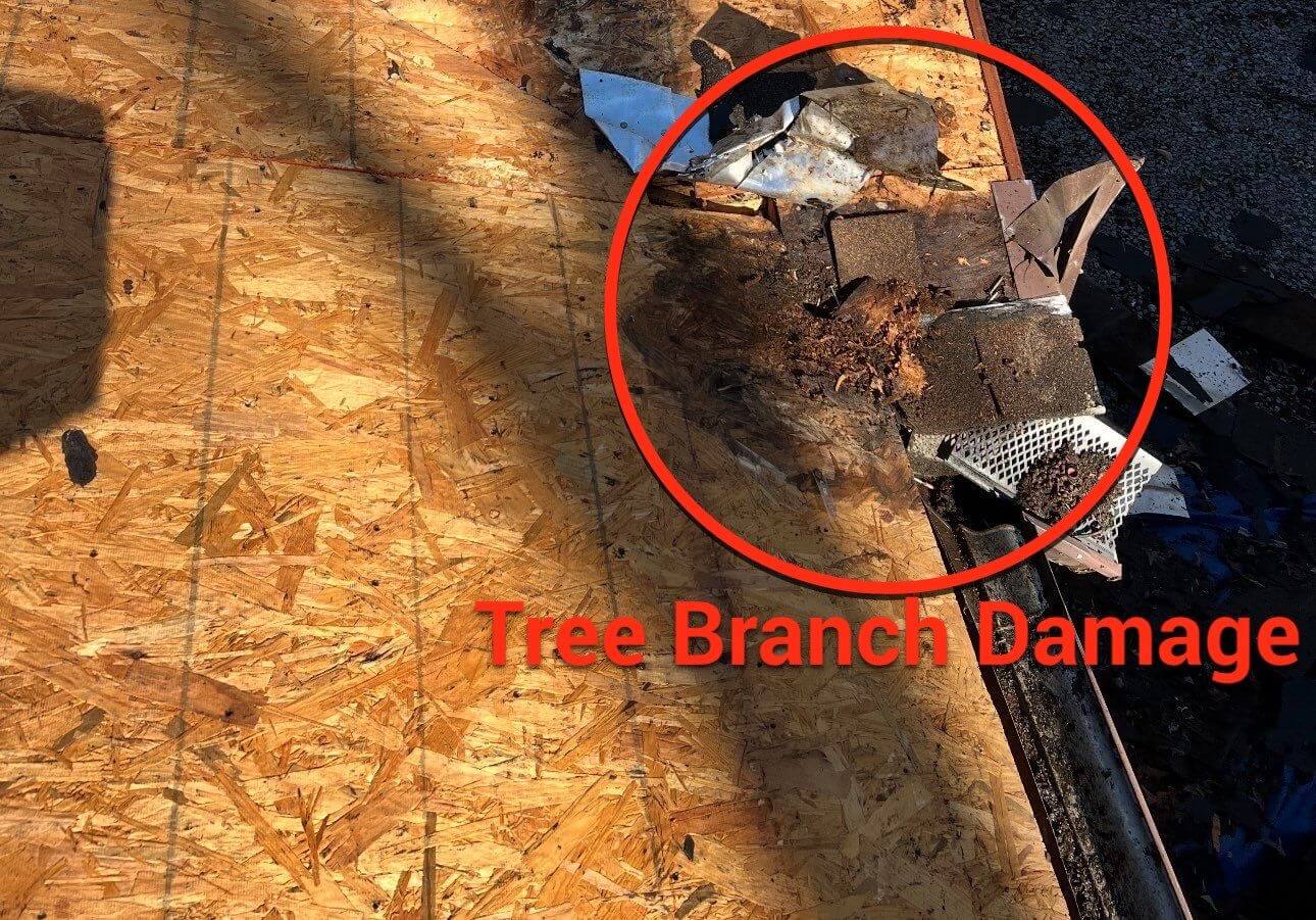 image shows tree branch damage during inspection from Roofline Xperts in Raleigh NC